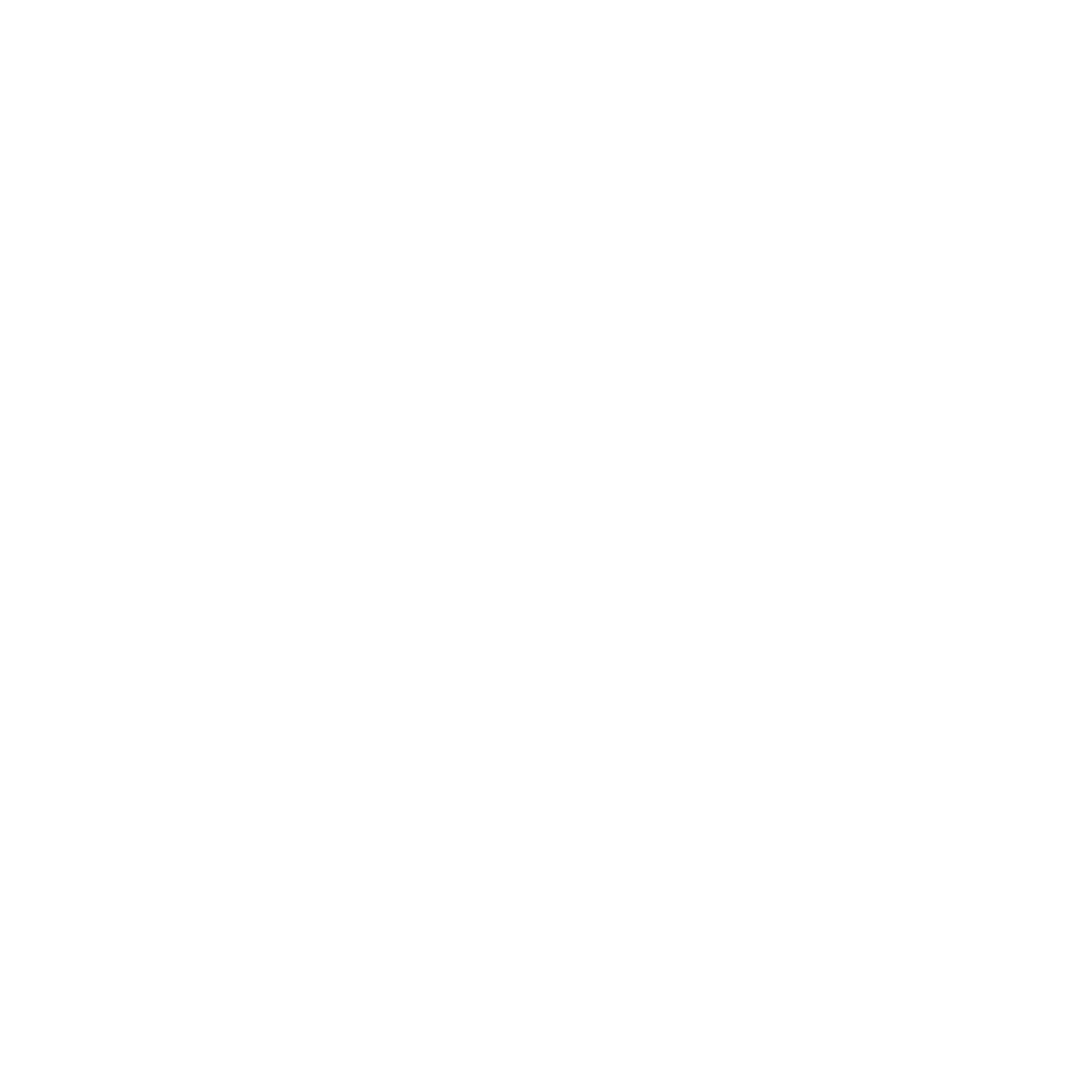 Our Vision icon